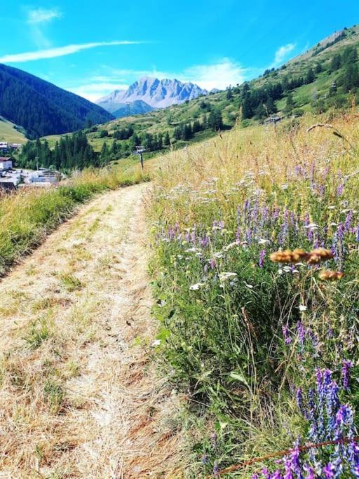 T2/3 6Pers & Pied Des Pistes & Piscine Chauffee Vars (Hautes-Alpes) Exterior foto